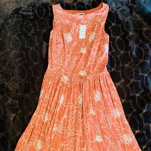 NWT loft dress